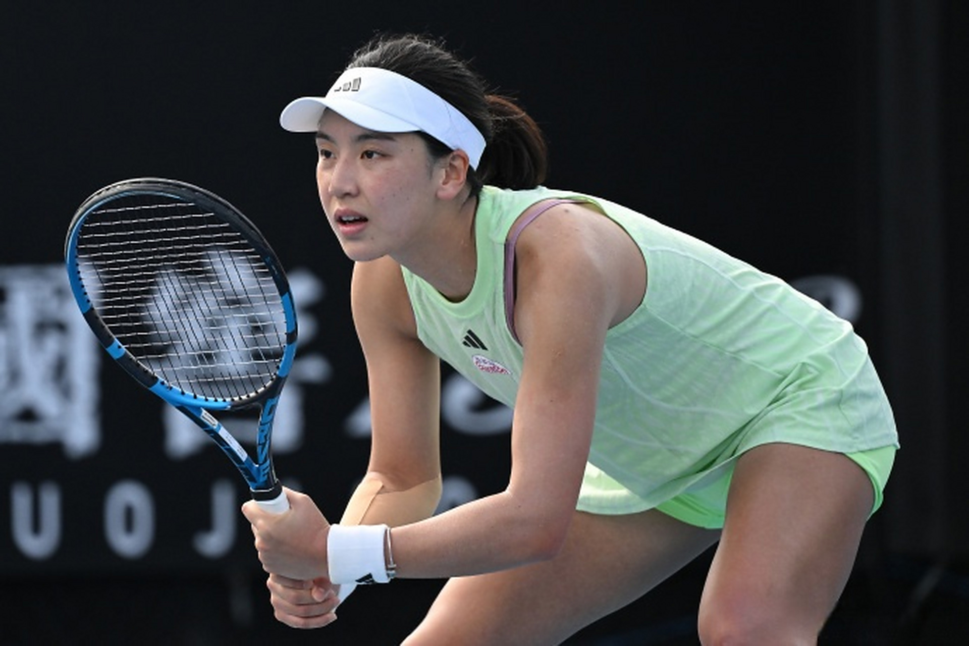 日本的归化 日本的归化